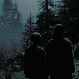 pottcrjames: Requested by @missmendelsohn - Harry and Sirius For maybe half an hour, a glorious half