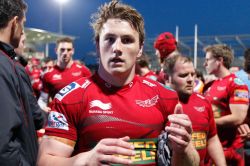 rugbybeefcake:Beefy teddy bear Jonathan Davies sometimes wears his emotions on his sleeves… but he always gets the job done