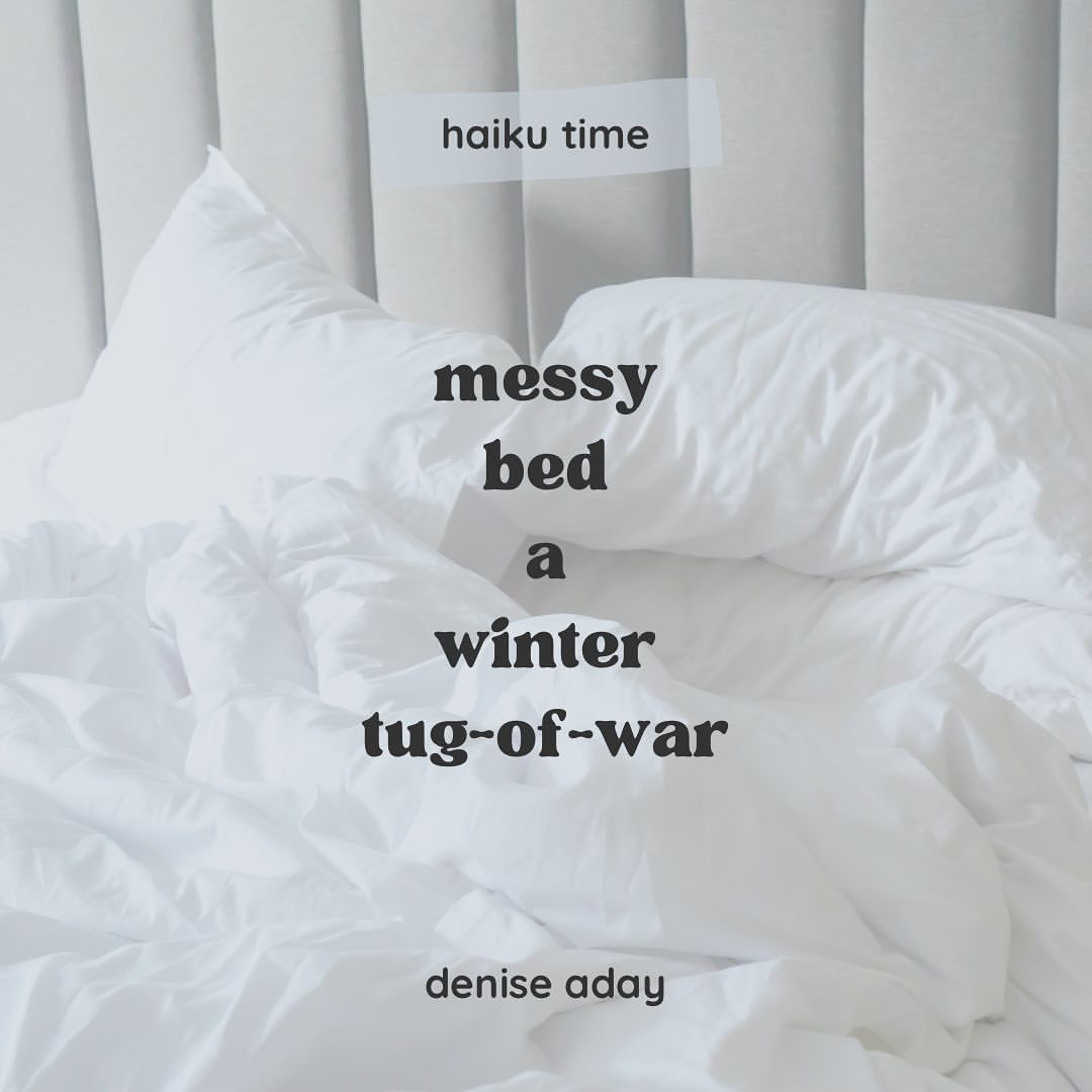 haiku time: messy bed a winter tug-of-war ~ denise aday
#Haiku #HaikuPoetry #MyKu
https://www.instagram.com/p/CbBENvwuMZx/?utm_medium=tumblr