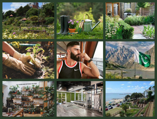 LITG S4 - Hazeem Moodboard 