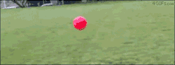 gif ql regreso xD &lt;3 aljsdkhasdasd