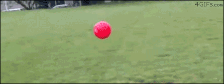 spookydeersatan:  THIS IS MY FAVORITE FUCKING G IF BECAUSE THE DO G JUST RUNS SO QUICKYL AND LAUNCHES IN TO THE AIR AND ROLLS AWAY HOYL SHTI DOG YOURE A DOG THE BALL DID THAT TO THE DOG IT LAUNCHED IT IN TO SPACE 