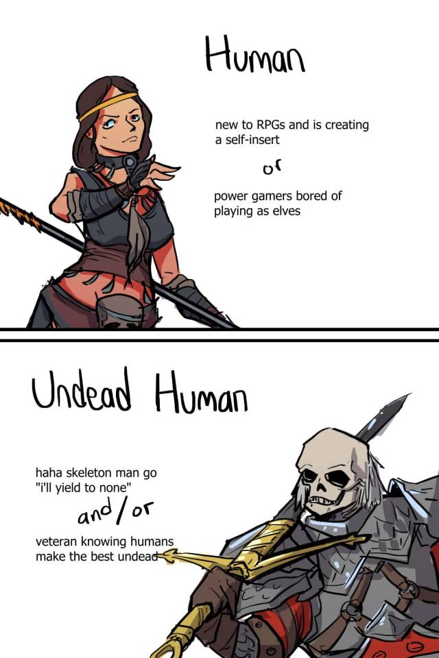 divinity original sin 2 memes divinity original sin 2 memes