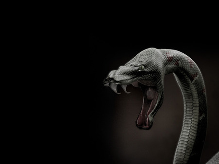 tmdvault:  black mamba, snake, za 