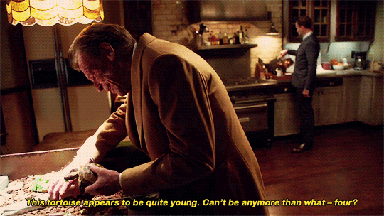 marlahey:  Well, it’s wise to prepare for the worst. Although, allow that some