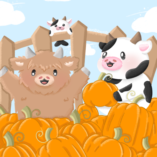 cowb, honeybun and milkbus go pumpkin picking!