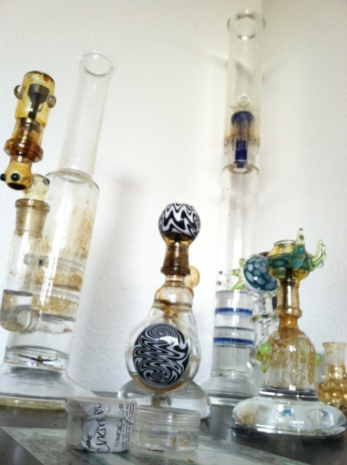 ganjadub:  All of my rigs  (Left to right) adult photos