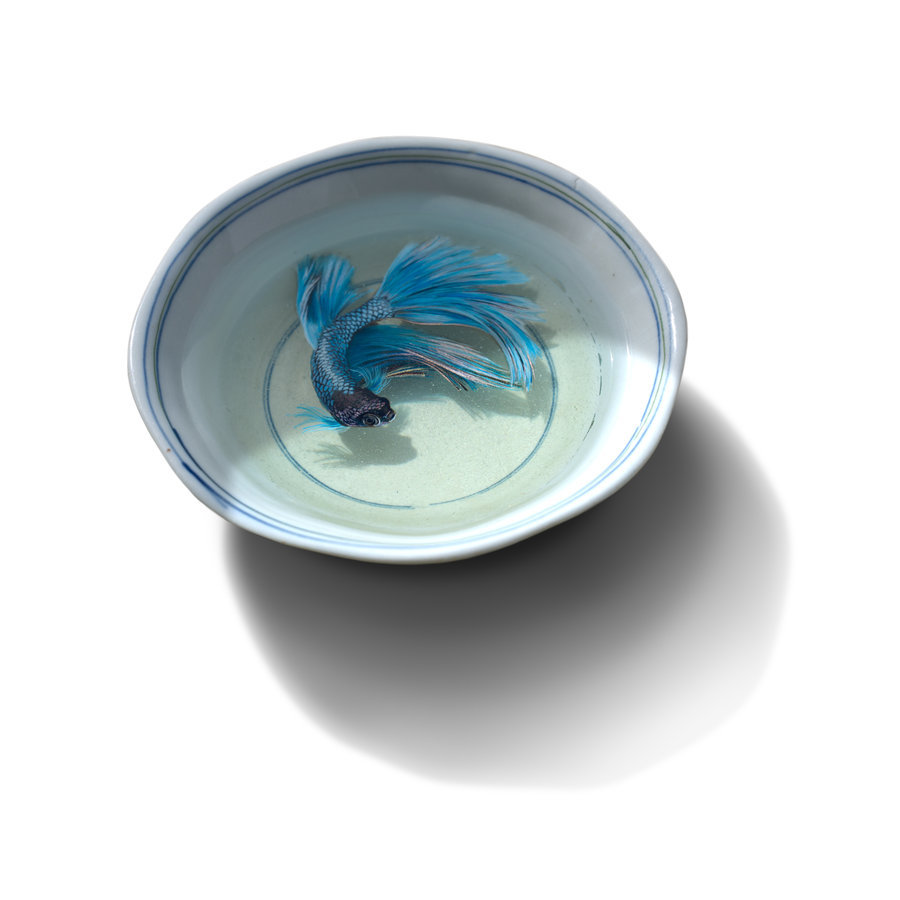 paintvrlife:  by kenglye  please do not remove credit.