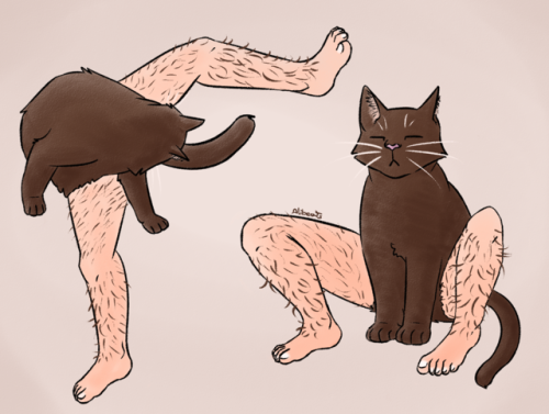 gengarisu: “Draw any animal, but with human legs” from @drawing-prompt-s This is the wor