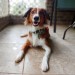 riley-coyotl:Portraits with Juniper