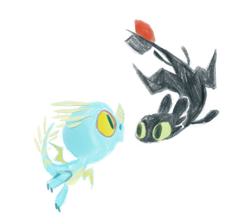 fawnduu:  stormfly and toothless flirtin…maybe