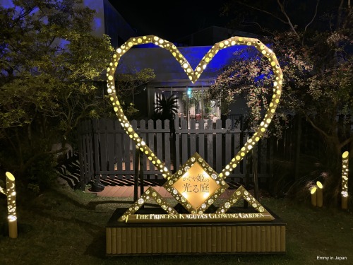 Princess Kaguya's Glowing Garden In Sakuramachi Kumamoto (かぐや姫の光る庭)