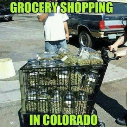 soclu3less:  God damn Colorado!