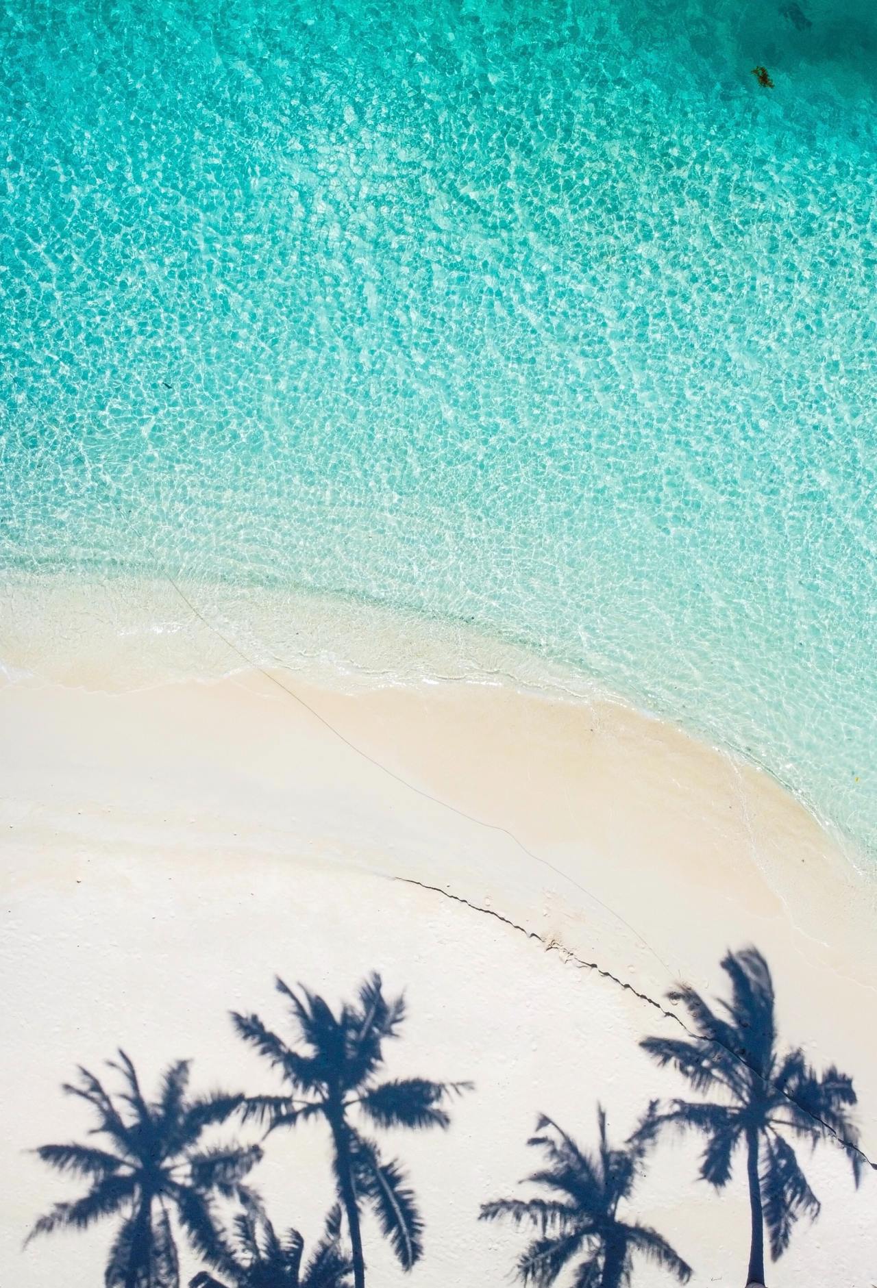 750 Tropical Beach Pictures  Download Free Images on Unsplash