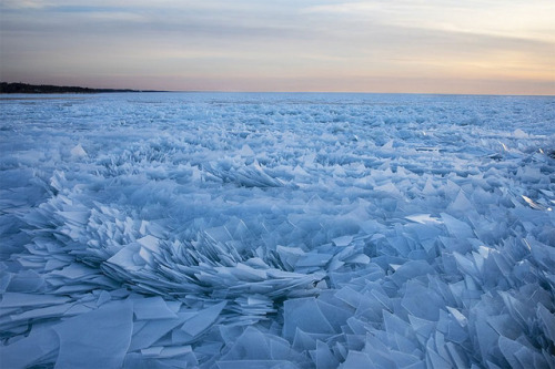 sixpenceee:The polar vortex has kept Lake Michigan frozen for the most part of winter. For example, 