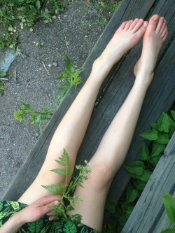 svagt:  trying to escape the sun this terribly hot saturday and found a nice bench in an overgrown park