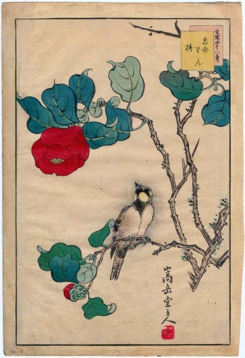 Kachō-ga fu 花鳥 画 譜 :No. 3, Reed Bunting and Camellia    (Jurin tsubaki じゅりん 椿)No. 4, Kingfisher and 