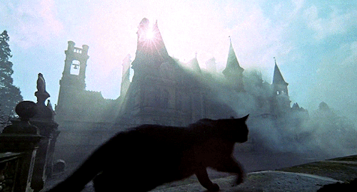 aarontaylorjohnson:   THE CABIN IN THE WOODS (2011) dir. Drew GoddardTHE LEGEND OF