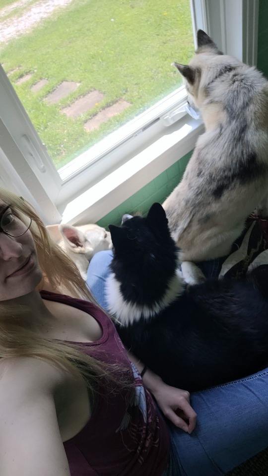 Appreciation post for my gorgeous girl and our sweet pups. Love when she sends pics