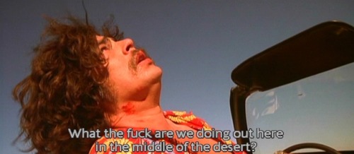 Fear and Loathing in Las Vegas