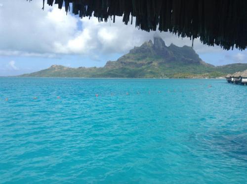 tropic-alkid:  ACTIVE TROPICAL BLOG, I FOLLOW BACK SIMILAR! :) MESSAGE ME ANYTIME!