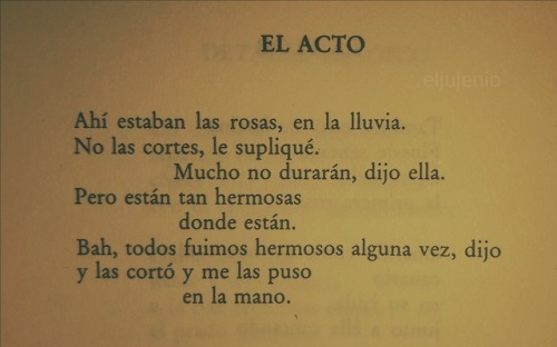 el-jujeniodeletras:William Carlos Williams. El acto. Collected Later Poems. [07]