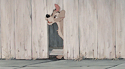 shaymitchell: Get to know me meme: 19/20 animated movies » Lady and the Tramp (1955)“Loo