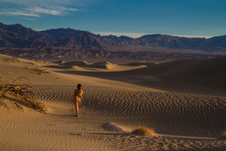 openbooks:  Fresh off a road trip with my friend Tasha, was visiting the US for the first time in her life. its so fun to see these places with fresh eyes.  Things I have taken for granted forever thrilled her.  One thing that is impossible to take