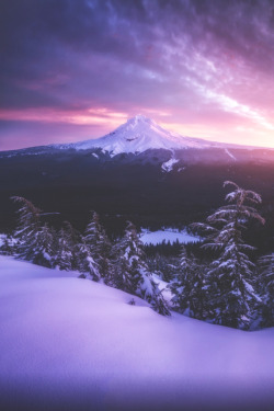 w0rldvanity:   Rise & Fall By Ryan Dyar