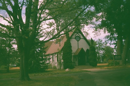 ingrids-lockbox:Adventures on the Toronto IslandJuly 2020Kodak Star 275 - Expired Konica VX Super 20