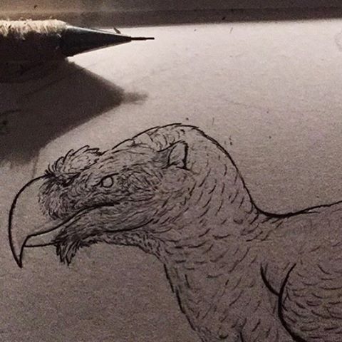 Sneak Peak Of #progress On The #hippogriff . #feathers And Fur Are A Pain In The Ass To #detail And #draw