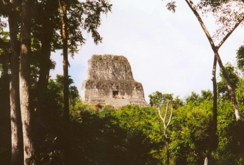 Pirámide, Tikal, Petén, Guatemala, 2002.