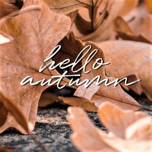 Kaisoo in fall “Hello autumn”