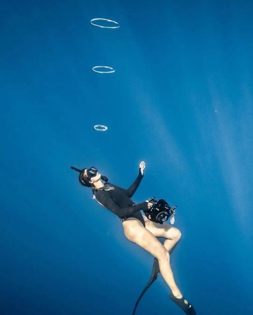 rings Reposted from @chasereichenbach  follow us  @spearfish.and.freedive.world . . . . . . . . . . 