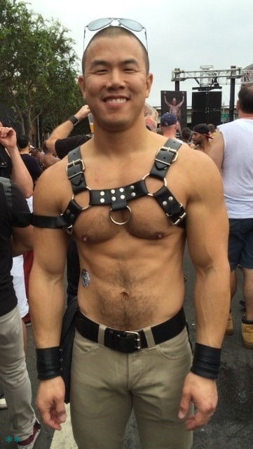 Nipples and harness porn pictures