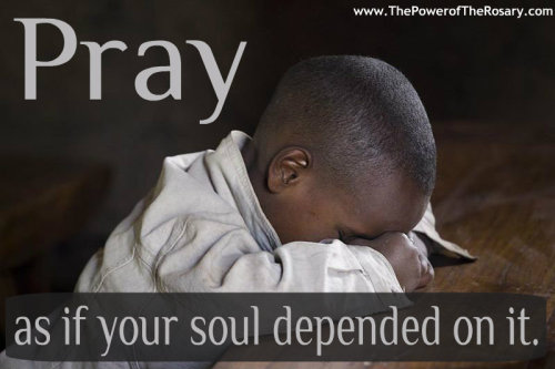 decadeadaydisciples:Need Prayers? Over 2K people will pray for your intentions everyday if you join 