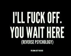 Twitchy-Rose