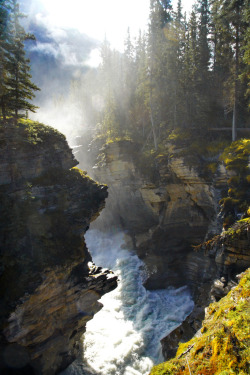brutalgeneration:  Canada; Athabasca Falls