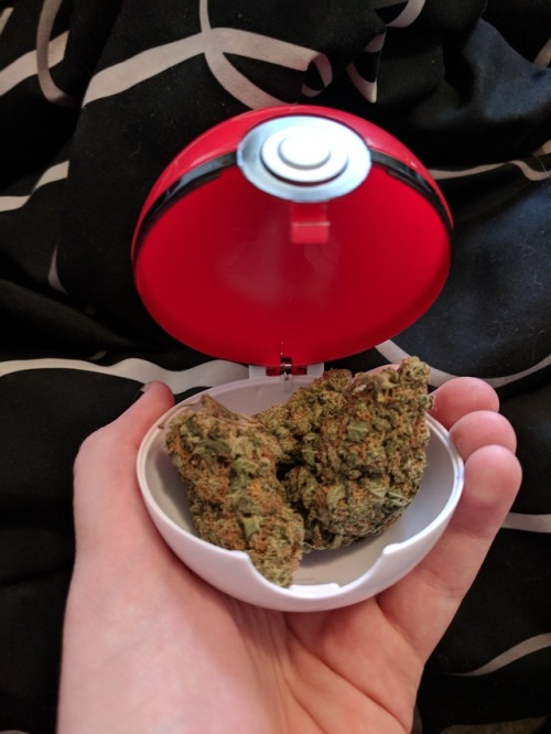 smileyvamp:It’s a weedle.