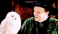 remusjohnslupin: GET TO KNOW ME MEME → favourite female characters [9/10] » Minerva McGonagall “The door swung open at once. A tall, black-haired witch in emerald-green robes stood there. She had a very stern face and Harry’s first thought