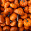19pumpkins