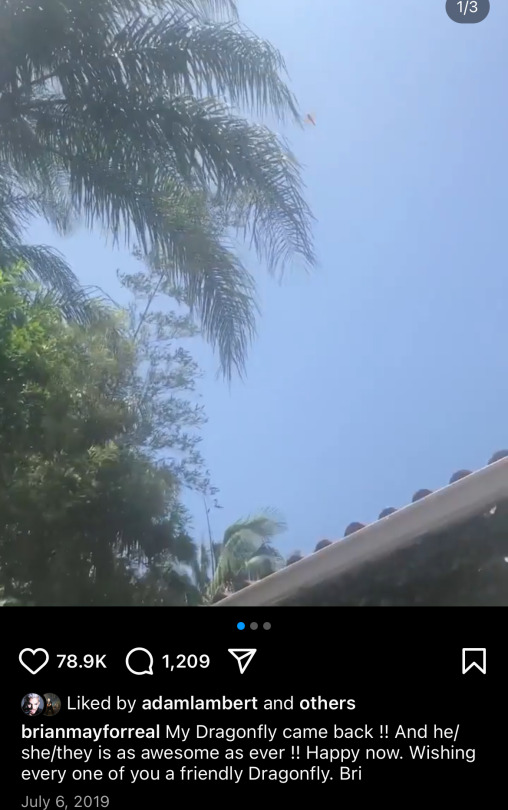 Brian May Being His Wonderful Self On Instagram: Highlights