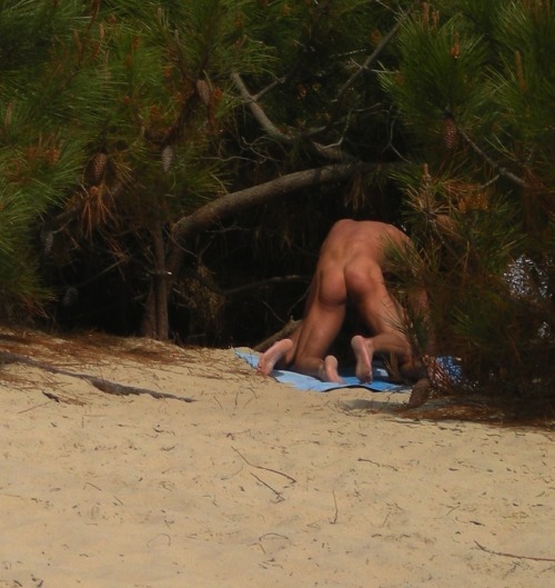 theconsolidator:  voyboi:  two horny toads  Follow The Consolidator.