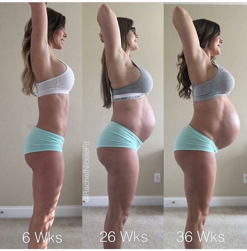 pregnancy progression