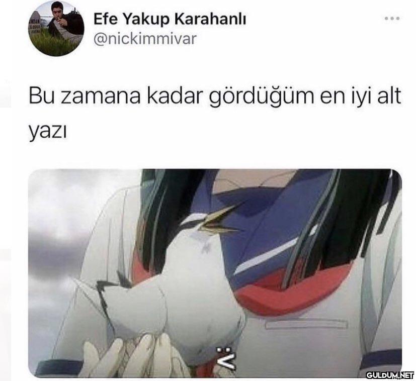 ANDAN Efe Yakup Karahanlı...