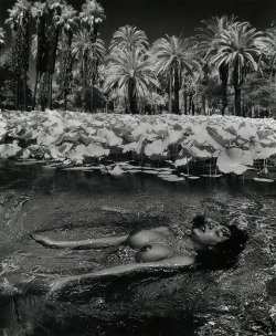 gmgallery:  Andre de Dienes (c. 1950s)www.stores.eBay.com/GrapefruitMoonGallery