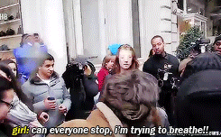 blamestyles:  x 