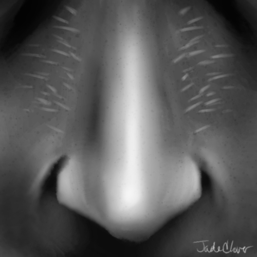 HeadcanonLocated on either side of an Altean&rsquo;s nasal bridge are patches of short, thin whisker