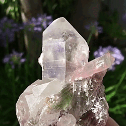softangelstims:  clear crystal quartz 🐇🌿