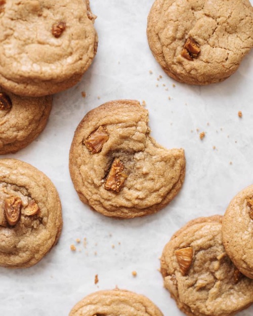 sweetoothgirl:  Fig &amp; Speculoos Cookie Butter Cookies  